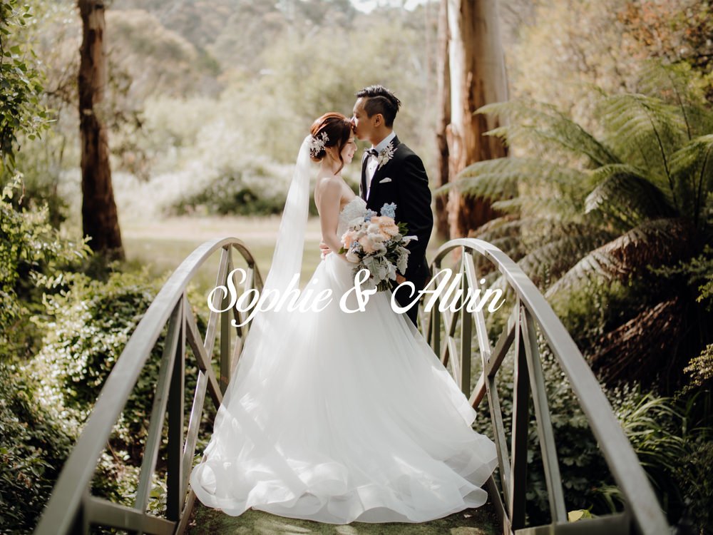 YH5BAEAAAAALAAAAAABAAEAAAIBRAA7