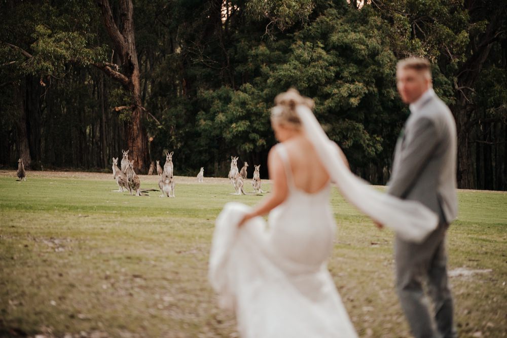 Cardinia Beaconhills Golf Links Wedding Photos Cardinia Beaconhills Golf Links Receptions Wedding Photographer Photography 191208 063