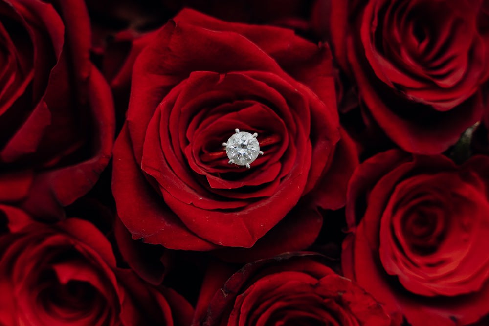 Luxor Function Centre Wedding Photos The Luxor Receptions Wedding Photographer Photography 020