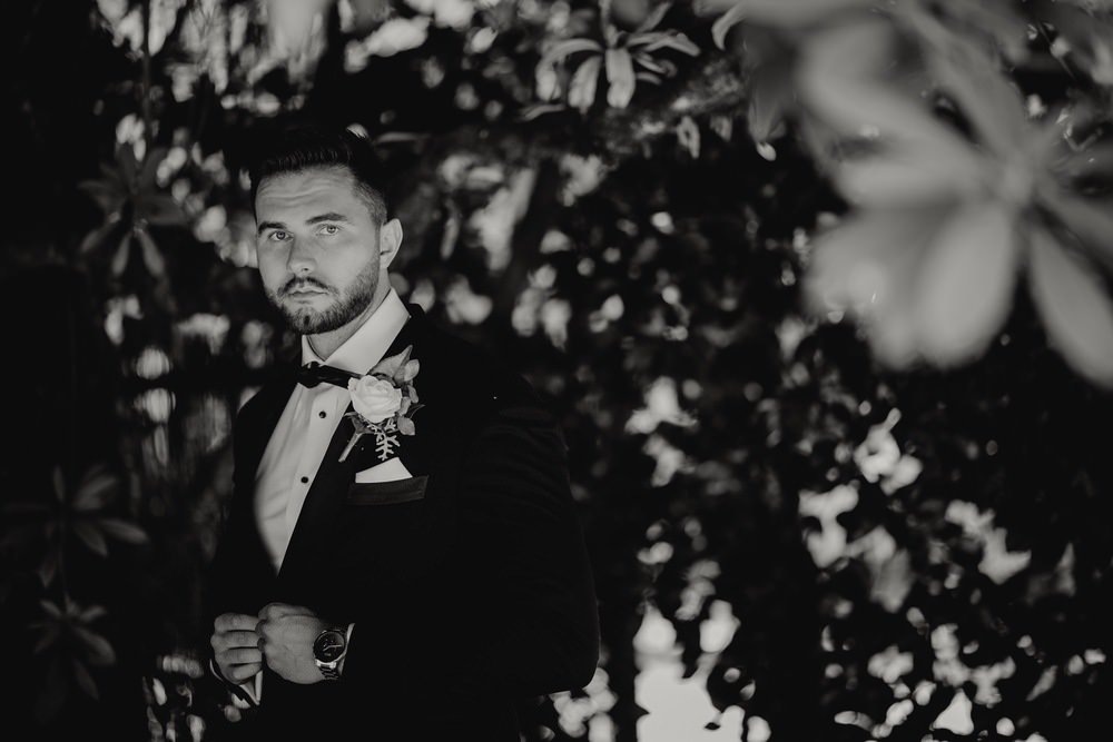 Lyrebird-Falls-wedding-photos-Lyrebird-Falls-receptions-wedding-photographer-photography-191208-005 Lyrebird Falls Wedding Photos Lyrebird Falls Receptions Wedding Photographer Photography 191208 005