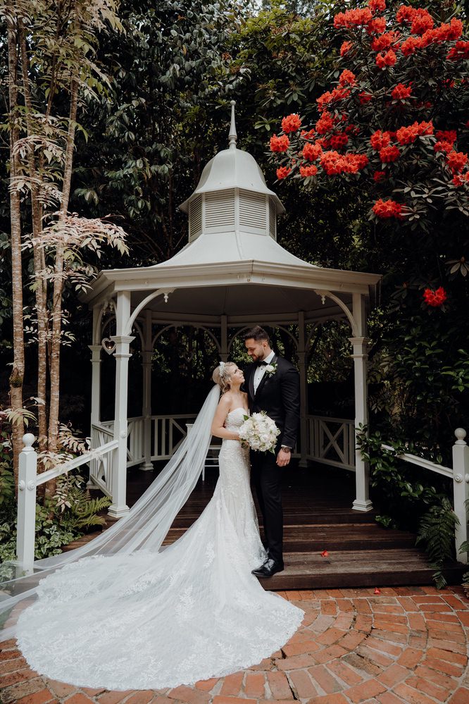 Lyrebird-Falls-wedding-photos-Lyrebird-Falls-receptions-wedding-photographer-photography-191208-024 Lyrebird Falls Wedding Photos Lyrebird Falls Receptions Wedding Photographer Photography 191208 024