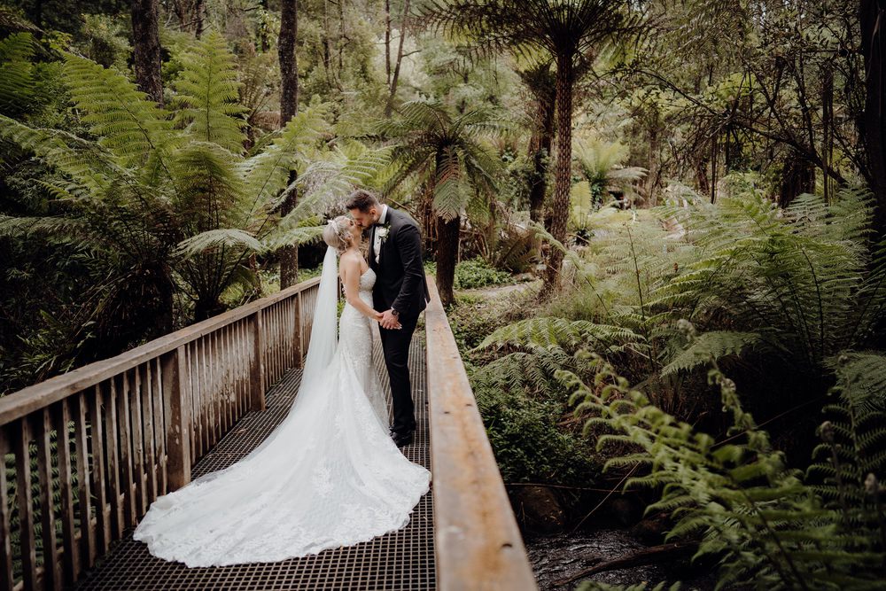 Lyrebird-Falls-wedding-photos-Lyrebird-Falls-receptions-wedding-photographer-photography-191208-040 Lyrebird Falls Wedding Photos Lyrebird Falls Receptions Wedding Photographer Photography 191208 040