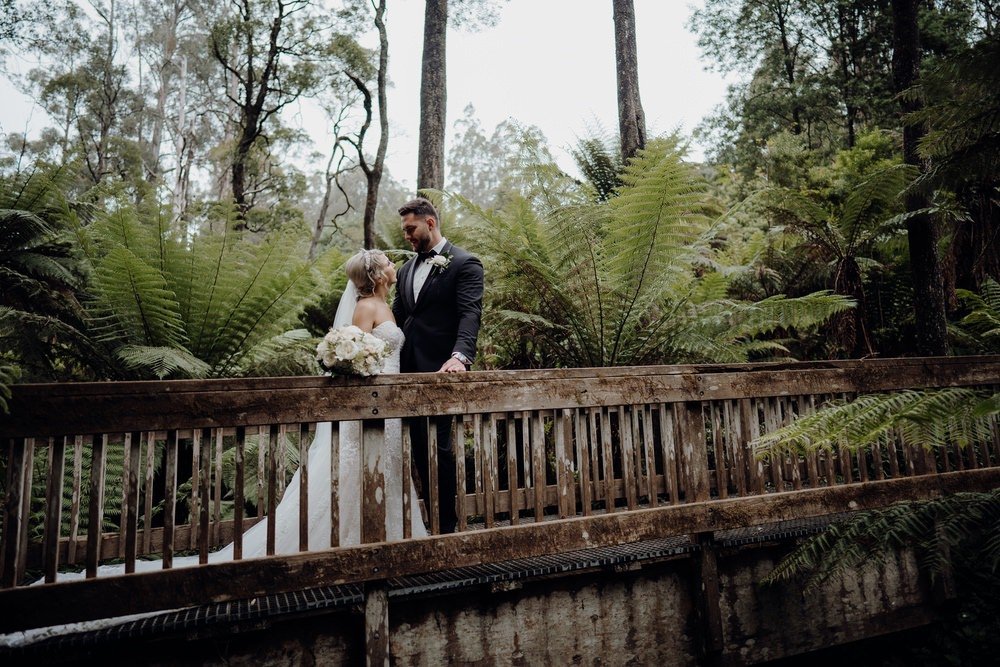 Lyrebird-Falls-wedding-photos-Lyrebird-Falls-receptions-wedding-photographer-photography-191208-049 Lyrebird Falls Wedding Photos Lyrebird Falls Receptions Wedding Photographer Photography 191208 049