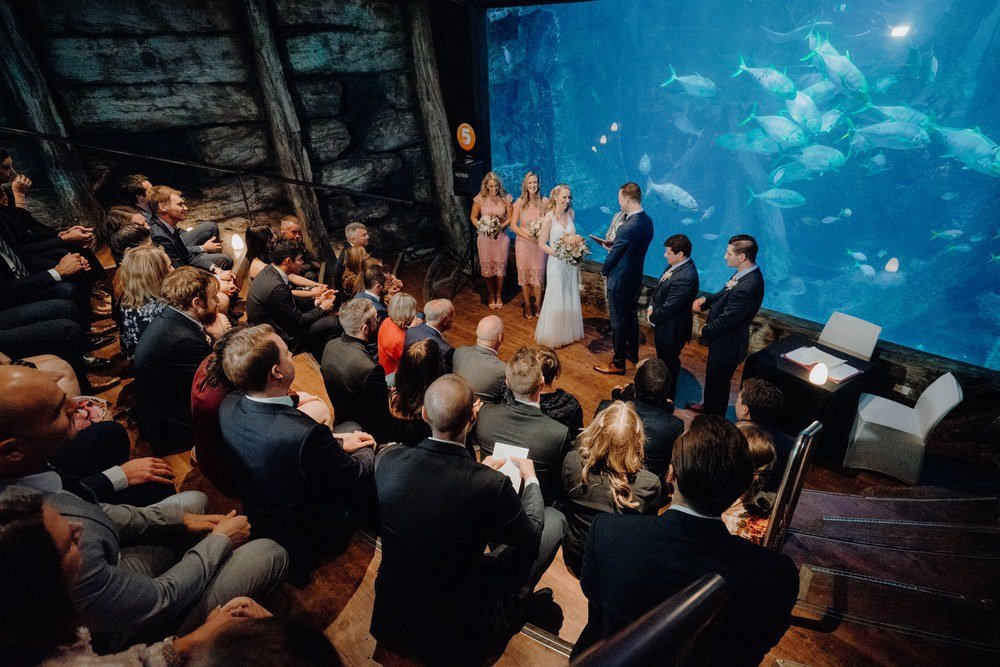 SEA LIFE Melbourne Aquarium Photos SEA LIFE Melbourne Aquarium Wedding Photographer 180428photography 038