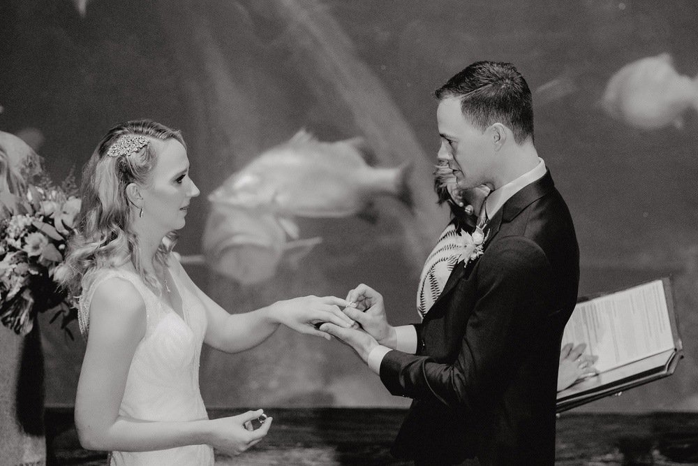 SEA LIFE Melbourne Aquarium Photos SEA LIFE Melbourne Aquarium Wedding Photographer 180428photography 042