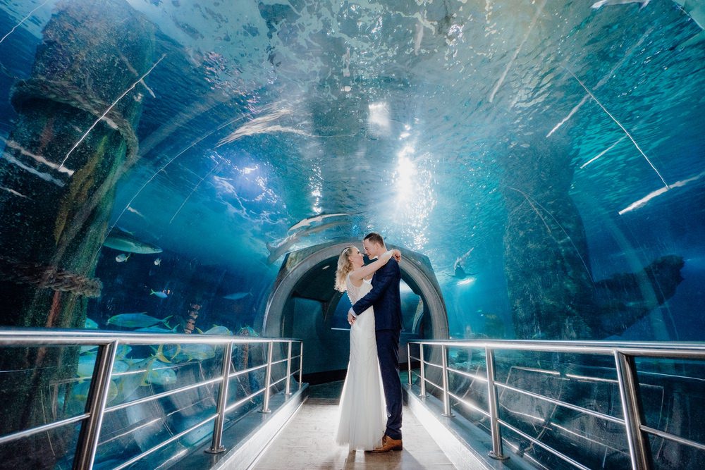 SEA LIFE Melbourne Aquarium Photos SEA LIFE Melbourne Aquarium Wedding Photographer 180428photography 047