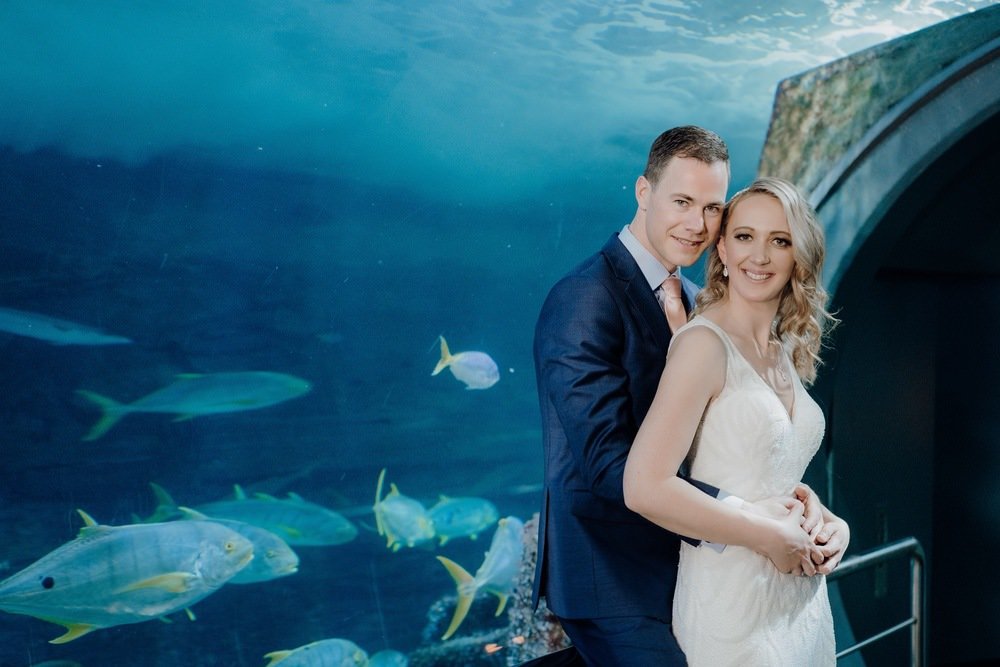 SEA LIFE Melbourne Aquarium Photos SEA LIFE Melbourne Aquarium Wedding Photographer 180428photography 049