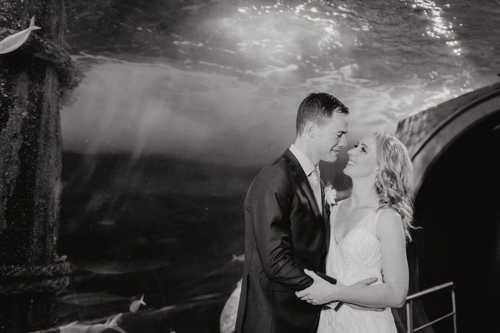 SEA LIFE Melbourne Aquarium Photos SEA LIFE Melbourne Aquarium Wedding Photographer 180428photography 050