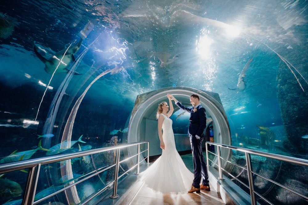 SEA LIFE Melbourne Aquarium Photos SEA LIFE Melbourne Aquarium Wedding Photographer 180428photography 051