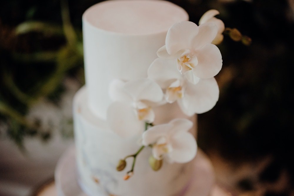 brighton-savoy-Homestead-wedding-photos-brighton-savoy-receptions-wedding-photographer-photography-067 Brighton Savoy Homestead Wedding Photos Brighton Savoy Receptions Wedding Photographer Photography 067