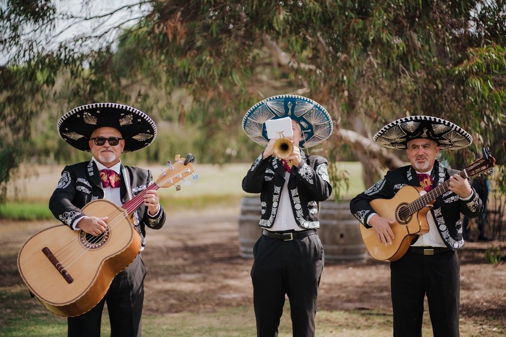The Epicurean Red Hill Wedding Photography Melbourne Dalywaters Wedding Chapel Photography035