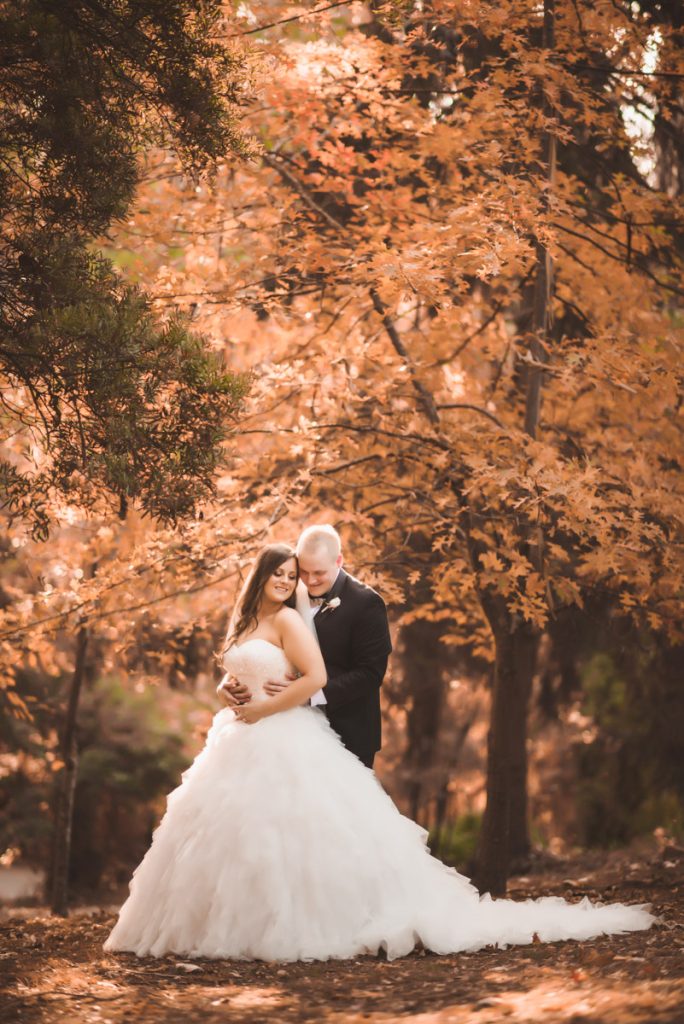 Wedding Photography Melbourne Wedding Photographer Melbourne 045