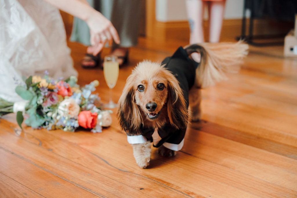 Wedding Photography Melbourne Wedding Photographer Melbourne 154