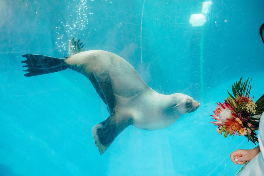 Wedding Photography Melbourne Wedding Photographer Melbourne 212