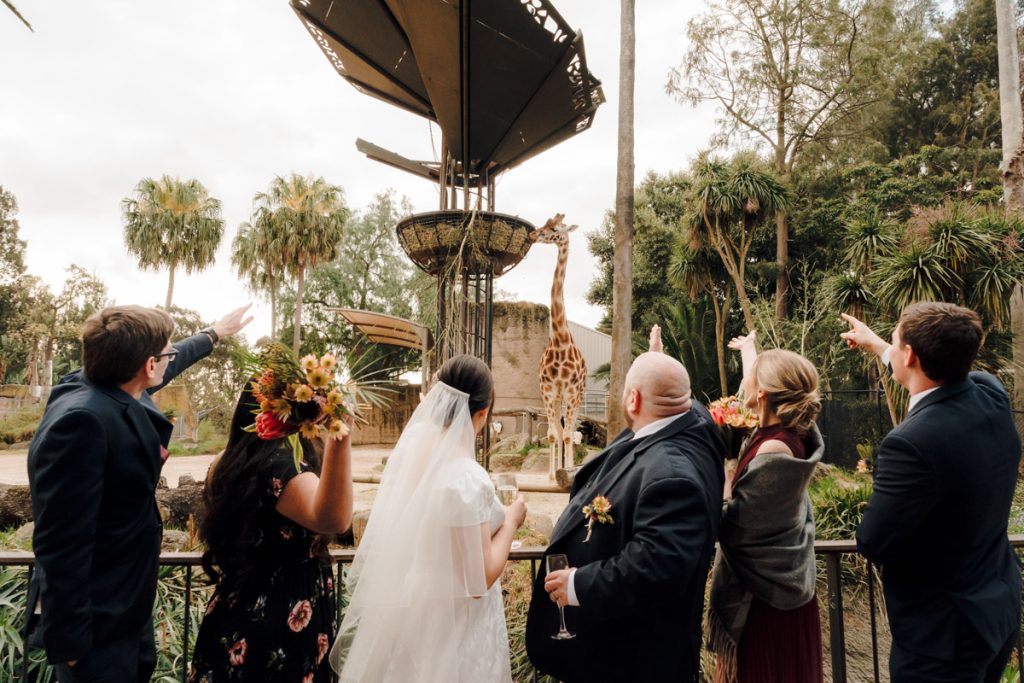 Wedding Photography Melbourne Wedding Photographer Melbourne 214